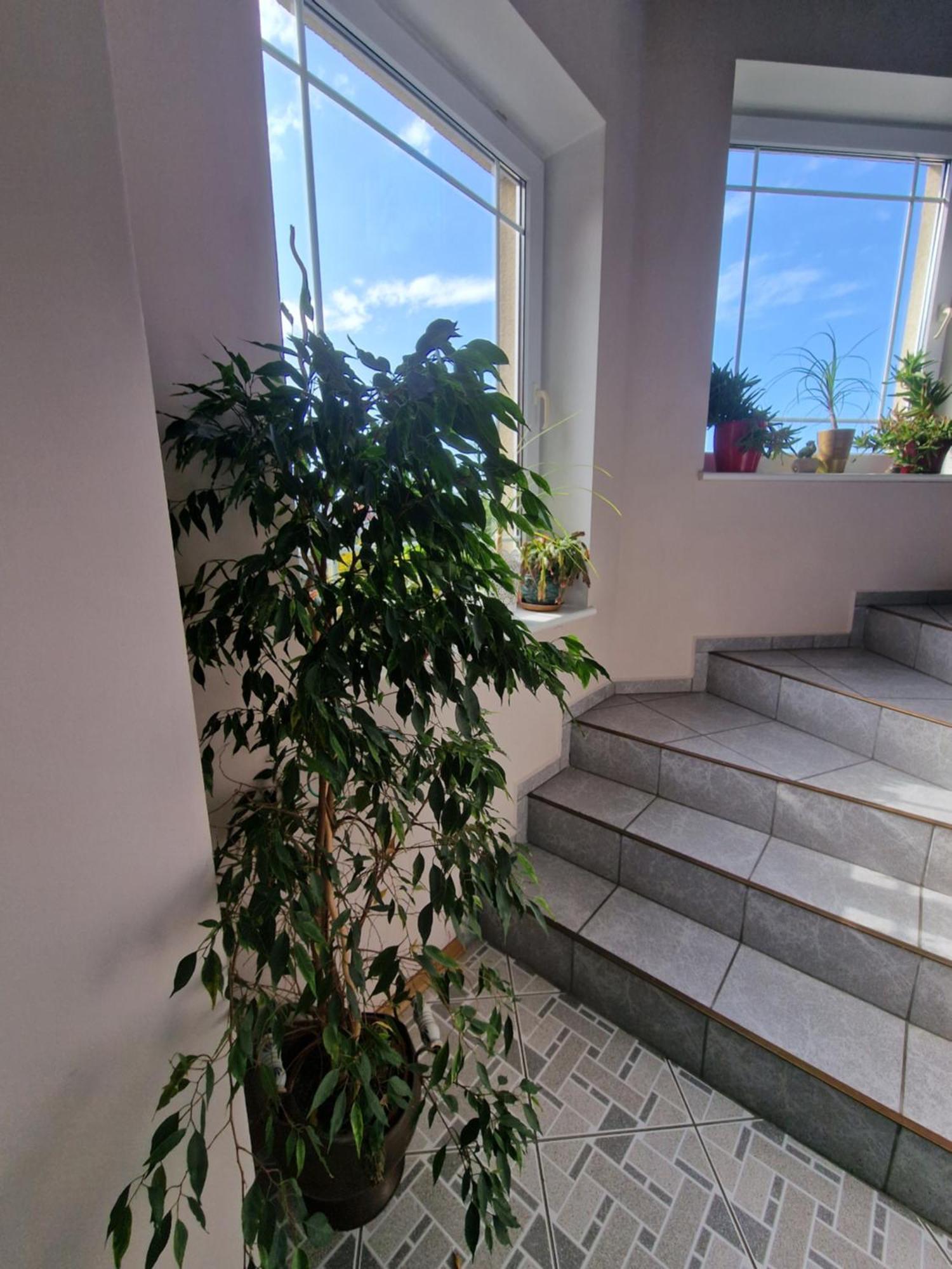 Villa Victoria Leba Luaran gambar